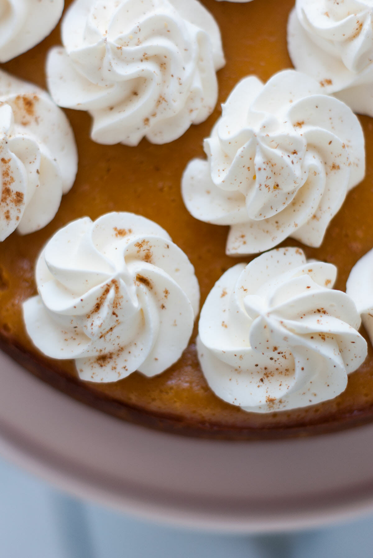 Lilie Bakery | Cinnamon Pumpkin Cheesecake 1