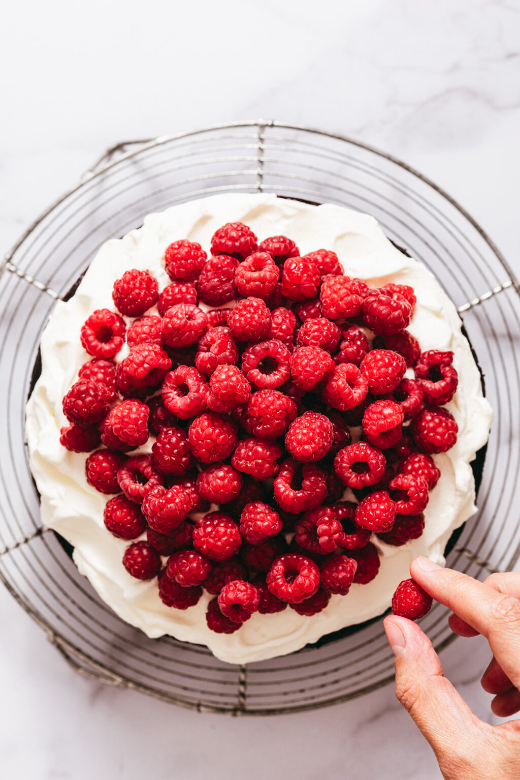 Raspberry Chantilly Cake - Lilie Bakery