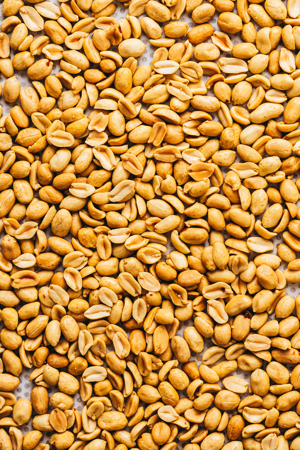 Cacahuètes grillées non salées - Lilie Bakery